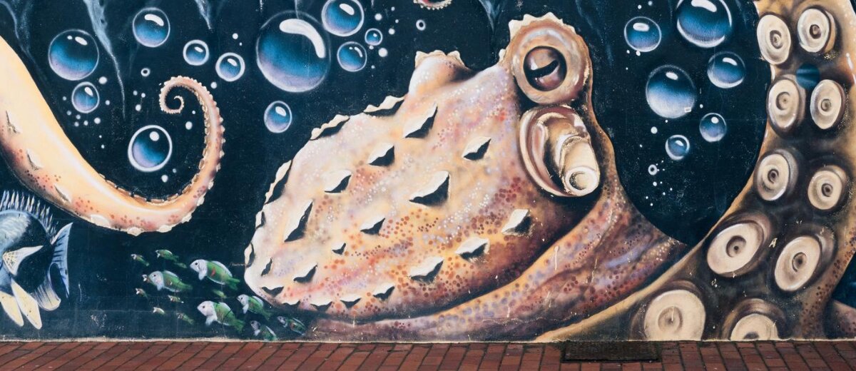 CAS Innovation im Journalismus